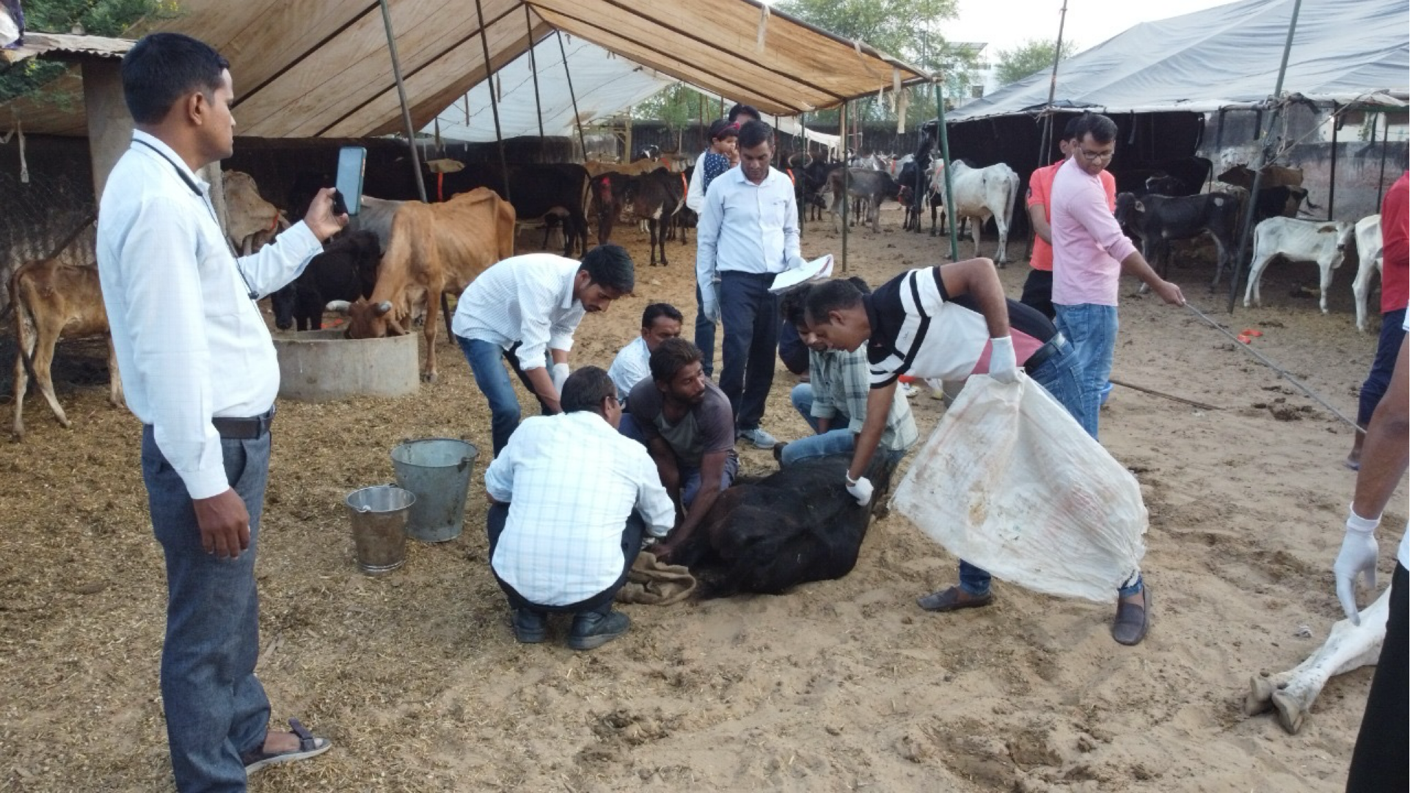 R P PANSARI JAN SEVA TRUST